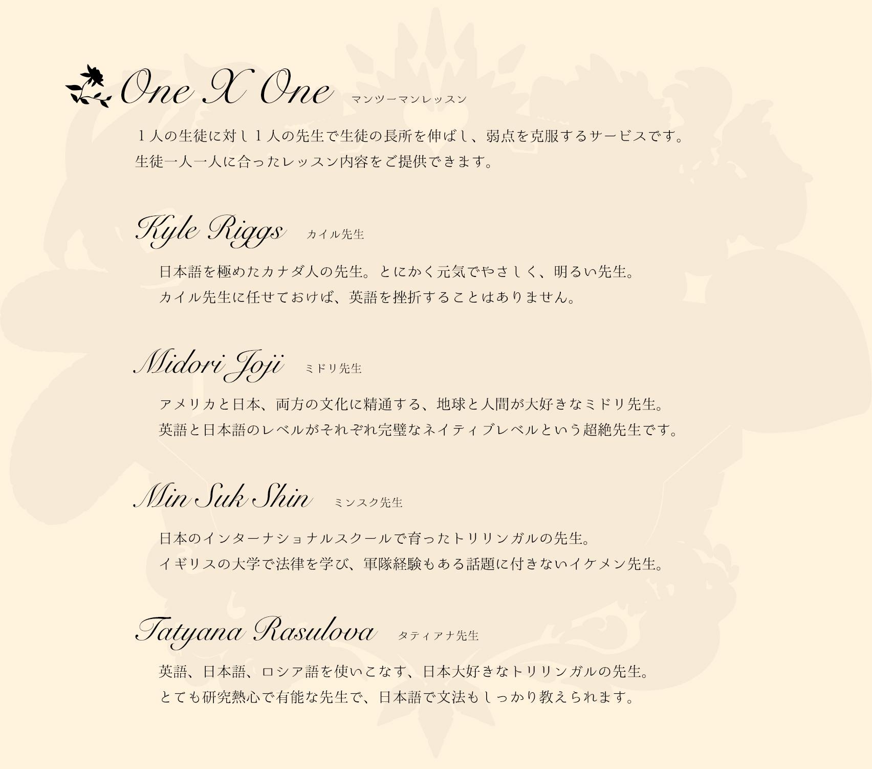 神田 御茶ノ水 英会話学校 メニュー 発音 英語脳 表現 基礎 TOEIC マンツーマン 英語ラウンジ お得なプラン