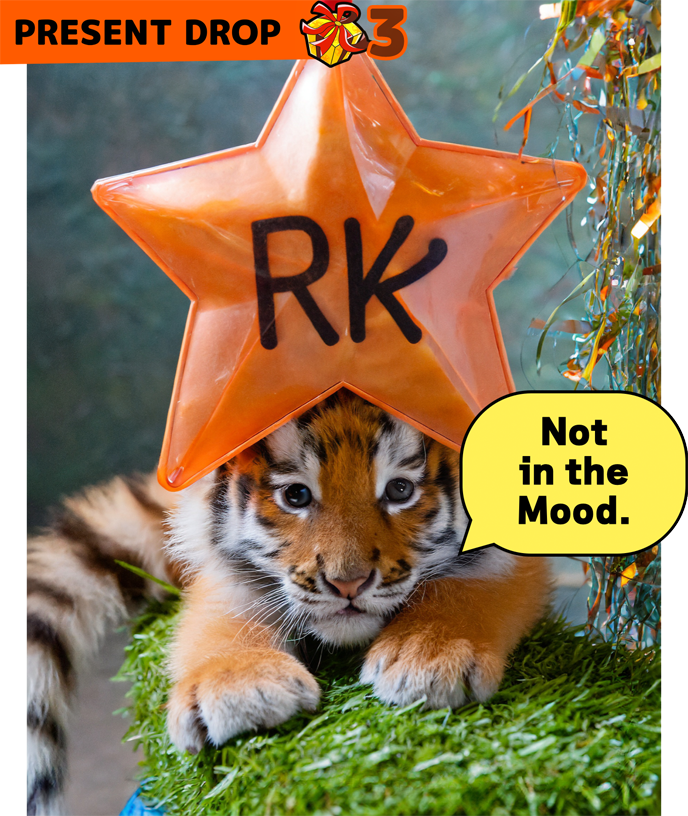 [RK ENGLISH] Richard Kawaguchi リチャード川口 カナダ バンクーバー発 バイリンガル講師陣による日本人のためのネイティブ英語 発音 リスニング 単語 表現 構文 英語脳 TOEIC 英会話 教育 学習 学校