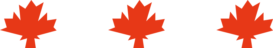 [RK ENGLISH] Richard Kawaguchi リチャード川口 カナダ バンクーバー発 バイリンガル講師陣による日本人のためのネイティブ英語 発音 リスニング 単語 表現 構文 英語脳 TOEIC 英会話 教育 学習 学校